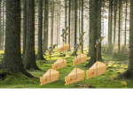 CHEESE MAGES OF CHEESE CITY