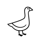 The cool geese!