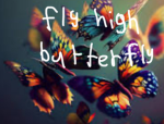 Everyone fly high