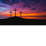 new life worship
