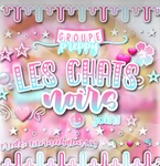 - Les chats noirs - Group Thumbnail