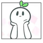 Anie qt