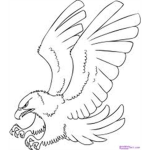 The Epic Eagles Of Epicness!