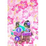 Kami and Gigi's Roblox