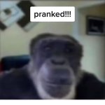 YO LISTEN UP HAVE FUN