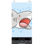 SharkBoyGroup