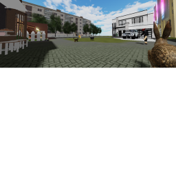 Live your own life