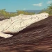 Grow Crocodiles icon