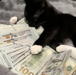 uncen$oreed