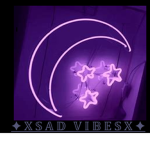 ✦ 𝕏 𝕊 𝔸 𝔻_𝕍 𝕀 𝔹 𝔼 𝕊 𝕏 ✦