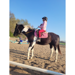 Galloping in the water