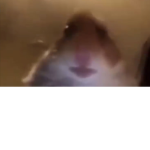 ChienedXD