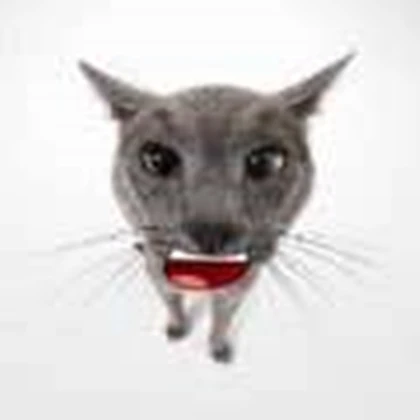Cat Creatures Roblox group icon