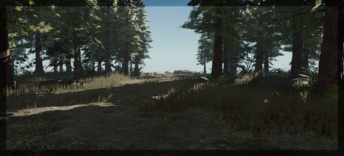 forest testing