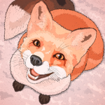 Magical Foxes United