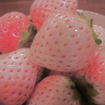 Fruititoti