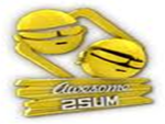 Awesome Twosum-RIKR