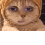 KITTY CLUBB