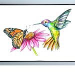 Hummingbird clothes