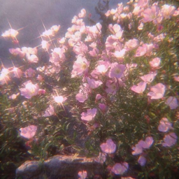❀