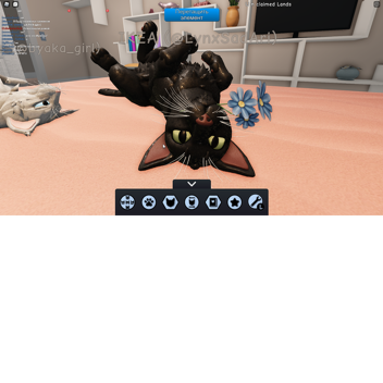 Hide and seek! Forest!