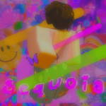 - sequoia -