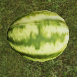 stare at 3 watermelons