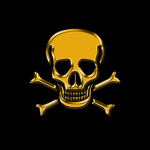 The Golden Skull Pirate Crew