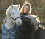 big land hall horse group