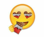 the amazing chocolate <3