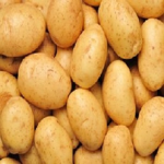 the fresh potato group