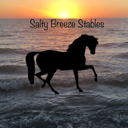 ~Salty Breeze Stables~ ❄️NEW UPDATE❄️