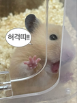 심심해서 들어오는 그룹