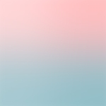Olivia’s aesthetic shop