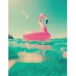 SummerCon