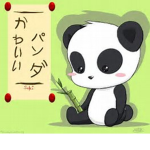 ThePandaGang