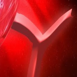 𝕏