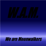 We Are Moonwalkers