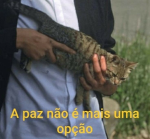 xCafezin