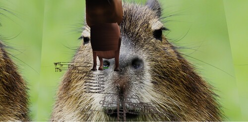 Cart ride into capybara!