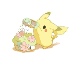 Pokemon community