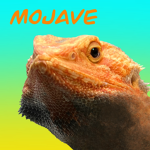 MojaveClan