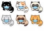 Kitty Catz Kingdom