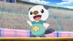 Oshawott :D