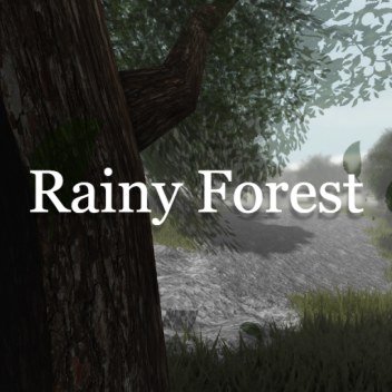 Rainy Forest 