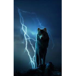 ThunderWolvesGroup