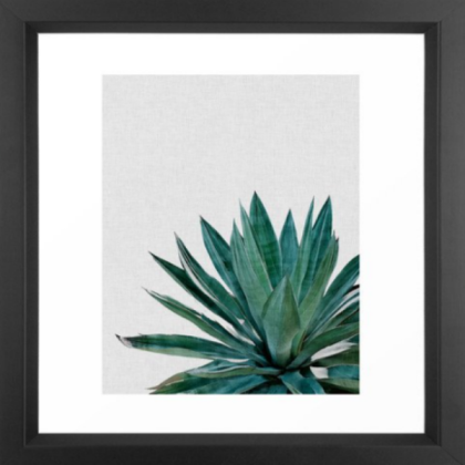 black framed large succulent Roblox decal