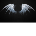 wingstudios