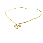1.0 Initial Necklace: G (Gold)