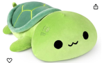 Turtle team2024